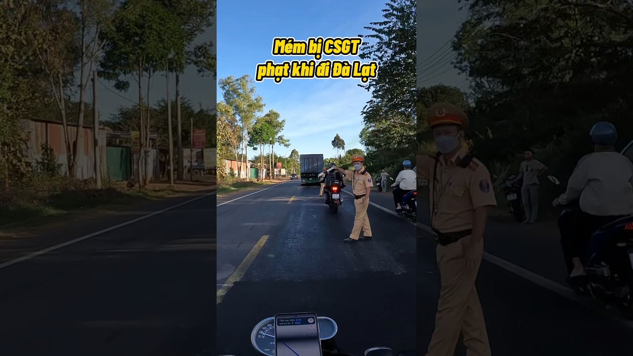 TOUR PG-1 ĐI ĐÀ LẠT MÉM NỮA BUỒN HIU LUÔN 