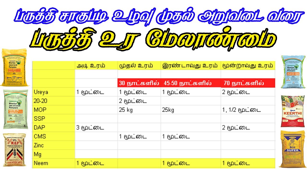 பருத்தி உர மேலாண்மை | பருத்தி சாகுபடி | fERTILIZER MANAGEMENT cOTTON | Cotton cultivation