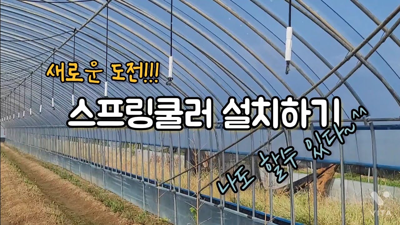 스프링쿨러 설치하기/새로운 도전!!!