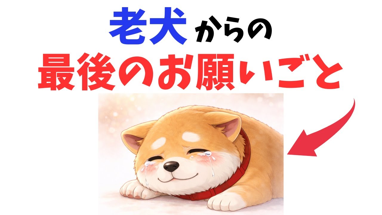 【胸が締めつけられる】老犬の最後の願い 10選