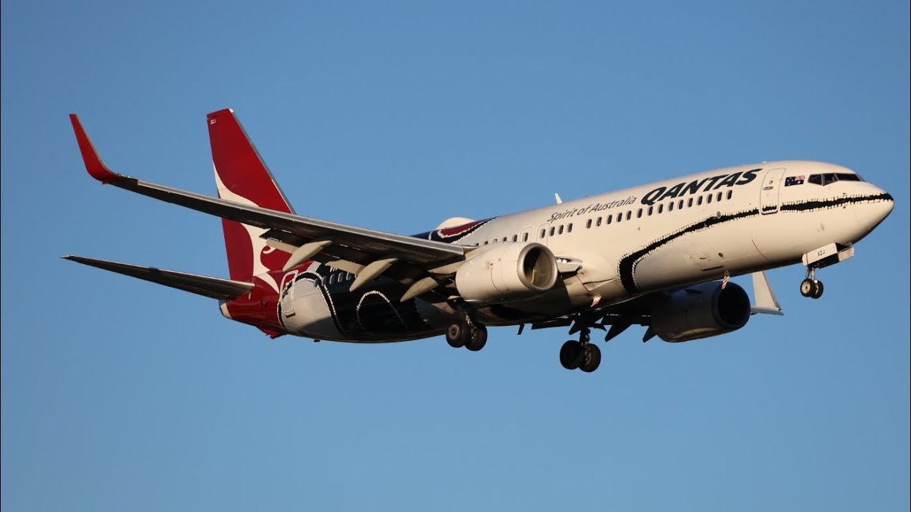 Live windy single runway ops @Sydney Airport 🔴 Live 🔴