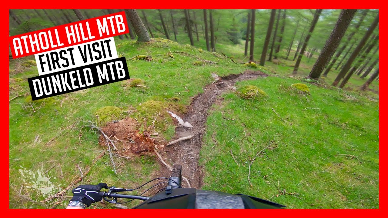 Is Dunkeld the best place to MTB in Scotland? Atholl Hill MTB First Visit -  Dunkeld MTB