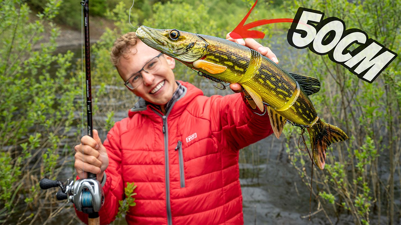 50cm XXL Köder fängt Kannibalen-Hecht!!!