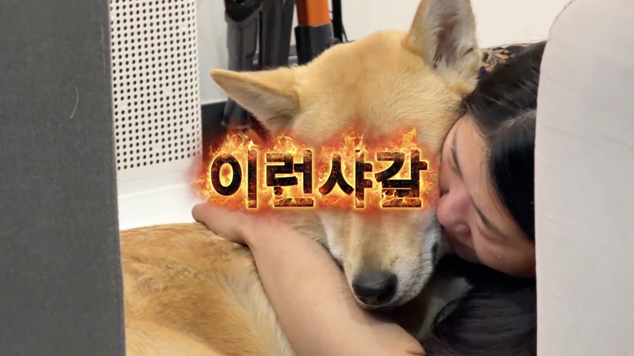 캔자스대저택 식구들 강릉여행 가는 날 2 🚗