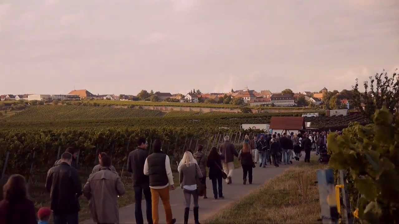 Kulinarische Weinwanderung Freinsheim