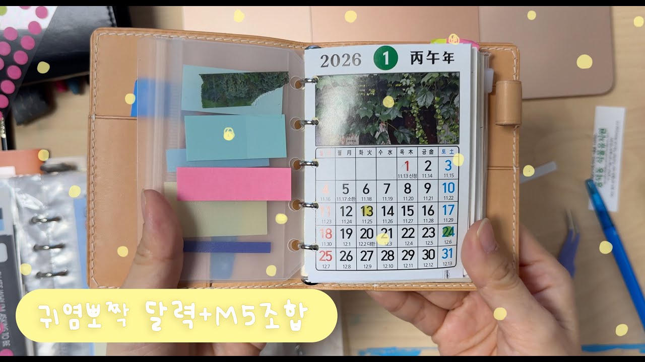[M5] 귀여운 미니 달력으로 미니 5공을 더 특별하게 🗓️