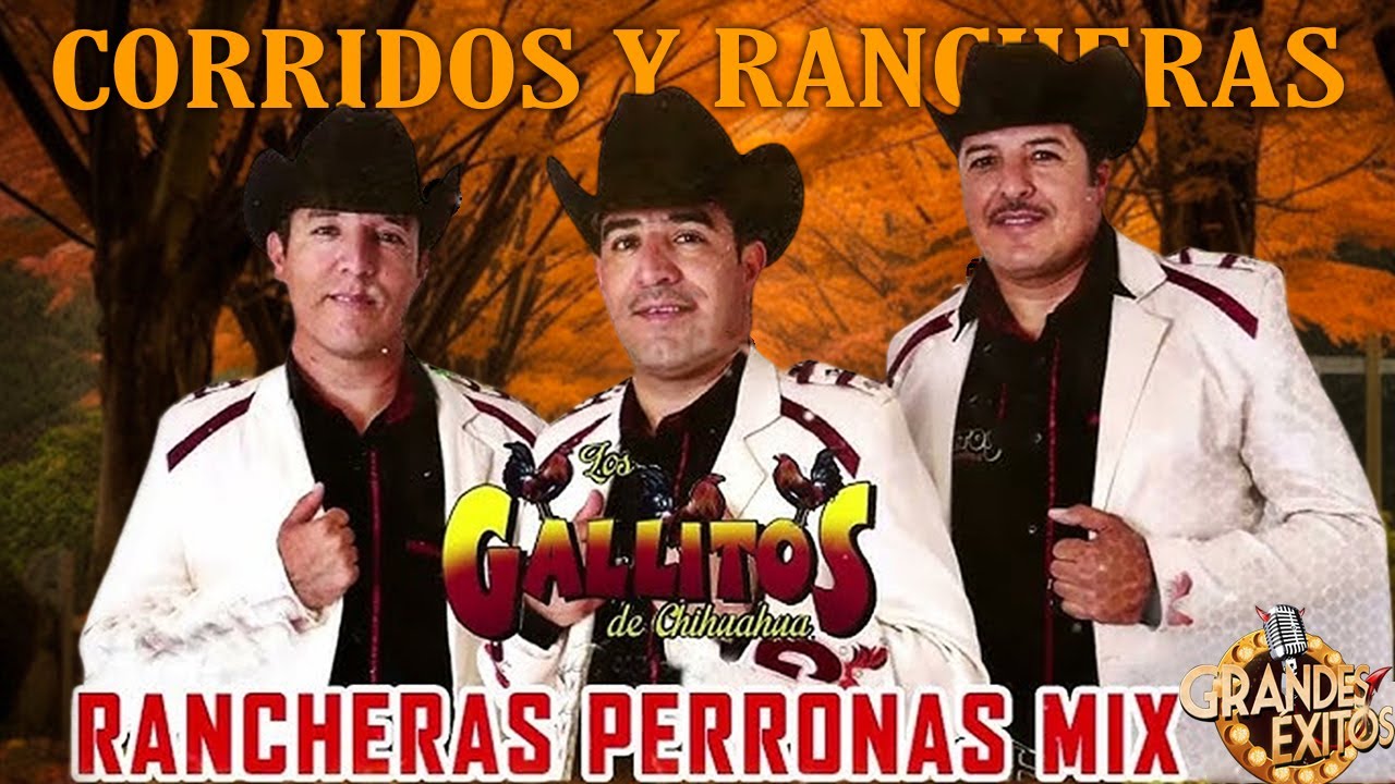 Los Gallitos De Chihuahua 2026 🔥 | Corridos y Rancheras Viejas Que Nunca Fallan 🍻🌵