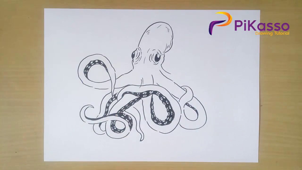 How to Draw Octopus step by step easy