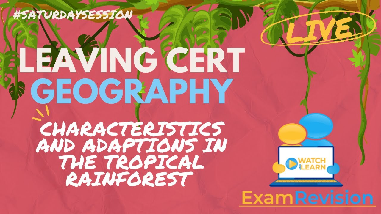 Characteristics and Adaptions in the Tropical Rainforest - LC Geography
