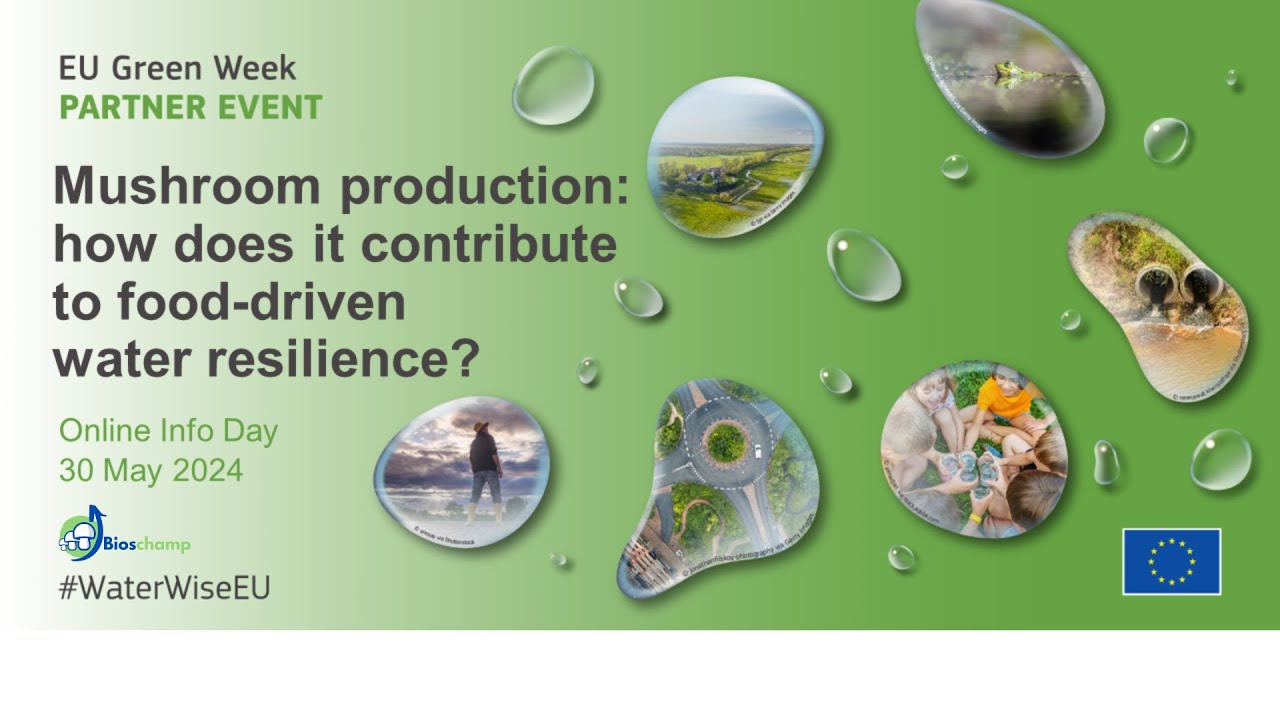 Mushrooms for water sustainability | BIOSCHAMP EU Green Week 2024