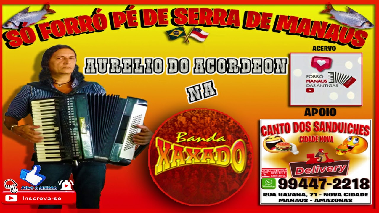 BANDA XAXADO / AUR&Eacute;LIO DO ACORDEON - solo