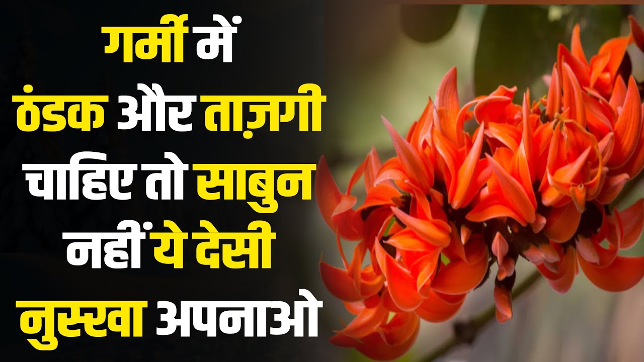 गर्मी में ठंडक और ताज़गी चाहिएतो साबुन नहीं ये देसी नुस्खा अपनाओ | @TheHimachaliPodcaster