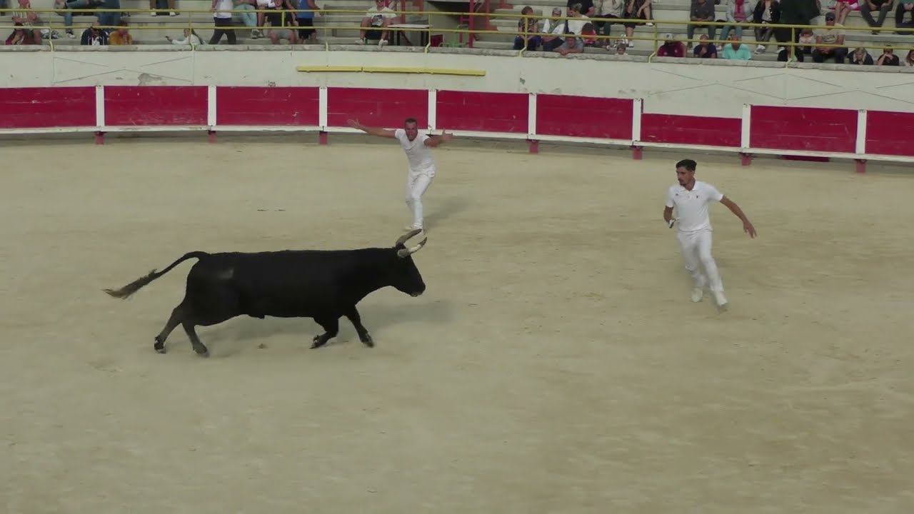 ST REMY DE PROVENCE (22/09/2024) - Le résumé de la course