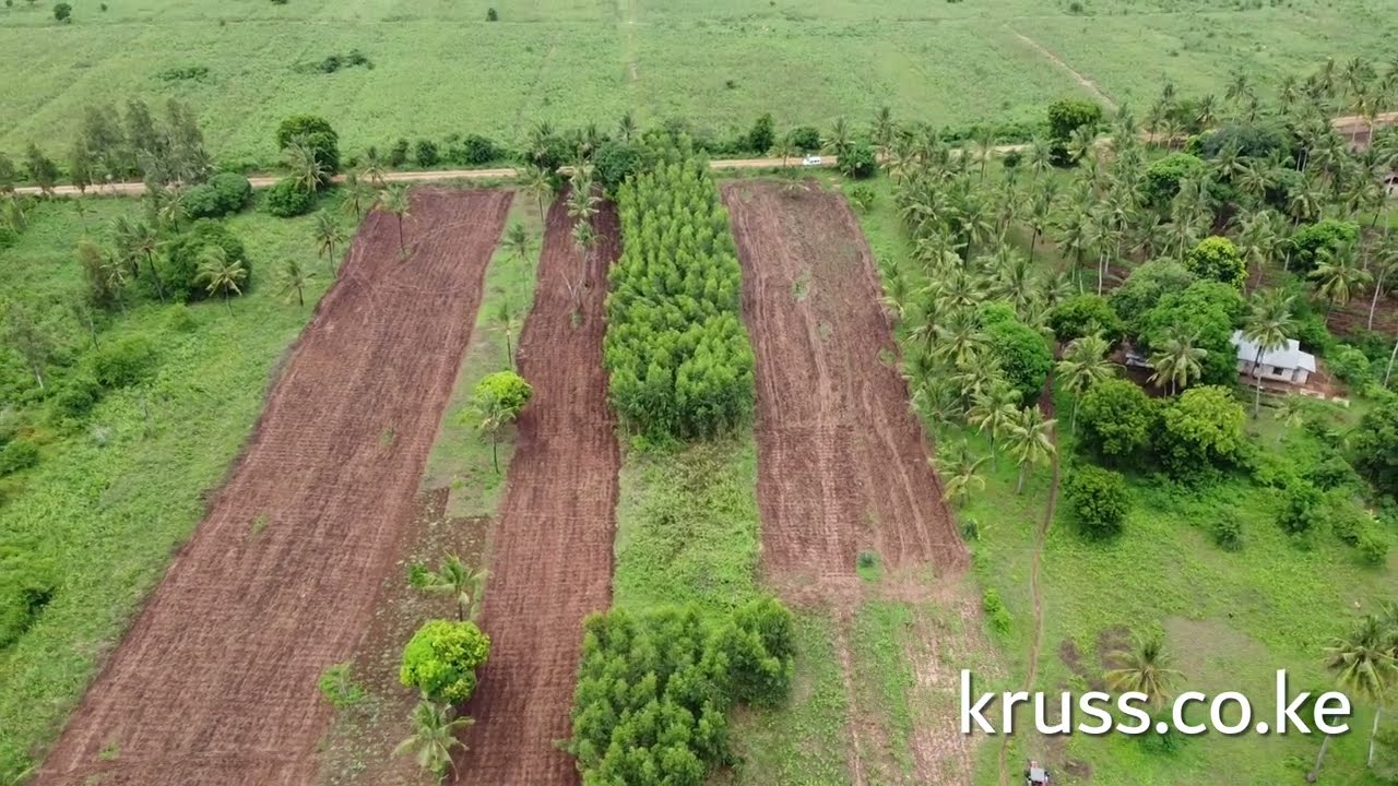 Affordable farming Plots for sale in Kilifi Junju
