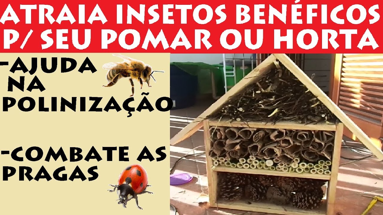 Construa um Hotelzinho de Insetos Benéficos para seu Pomar ou Horta!!