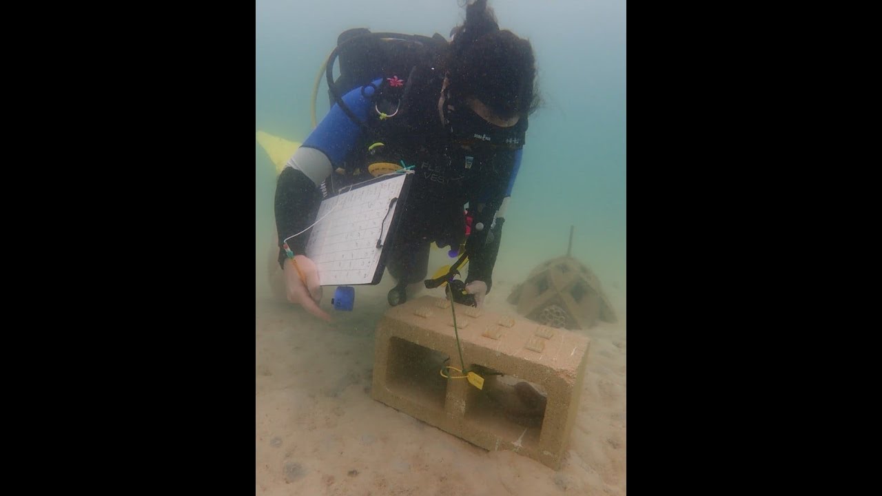 Sounding Out Coral Larval Settlements