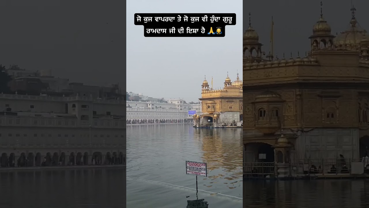 Golden Temple live 🙏🙇‍♂️🙇‍♀️🌺 
