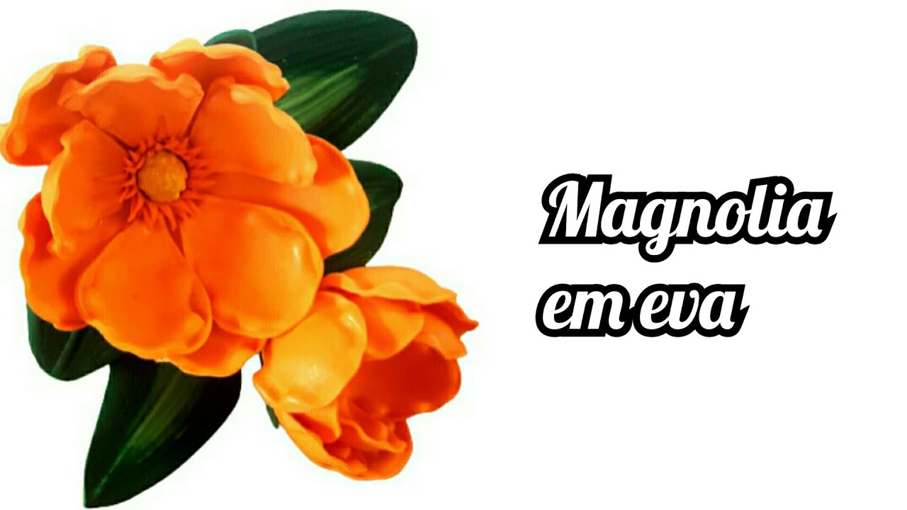 Magnólia em EVA