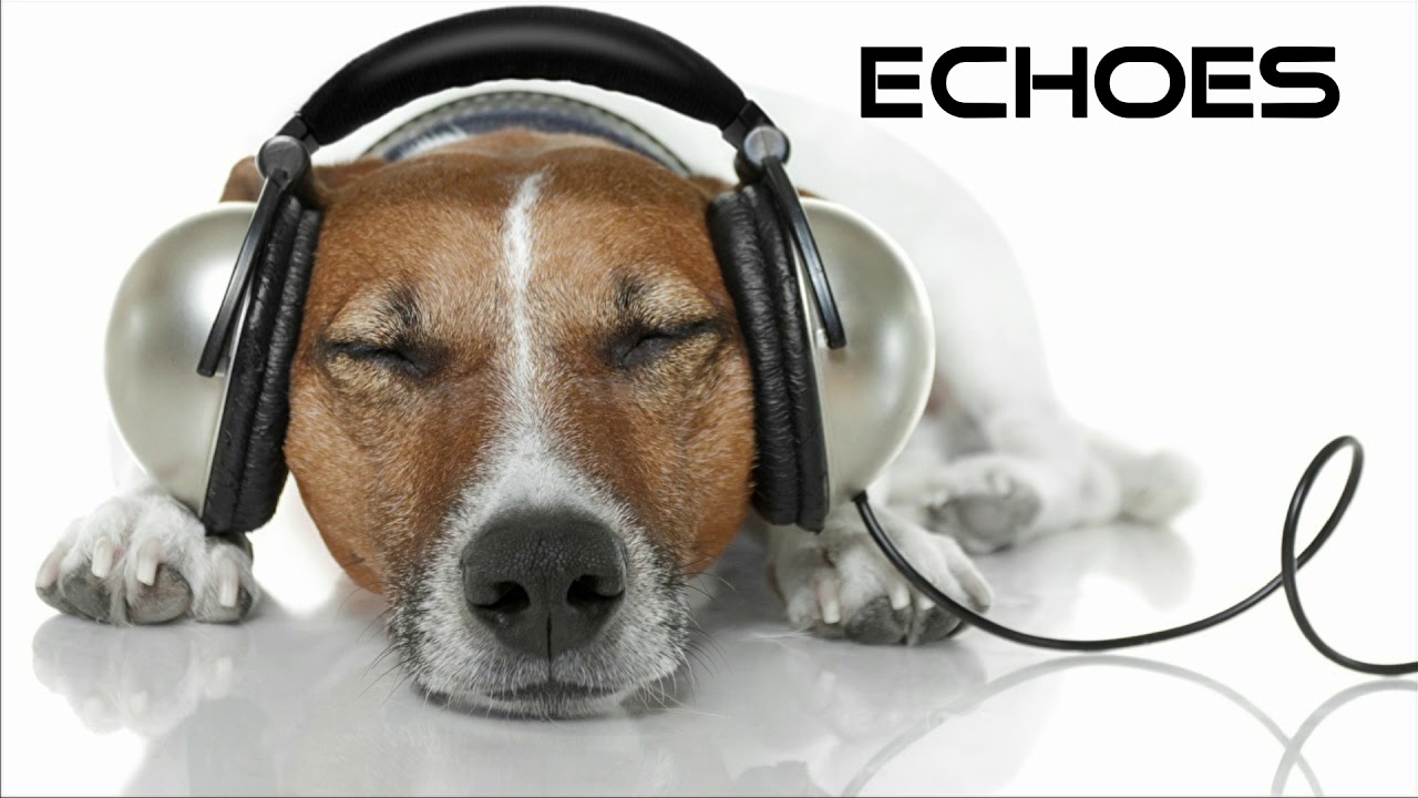Echoes - KiLLerZ