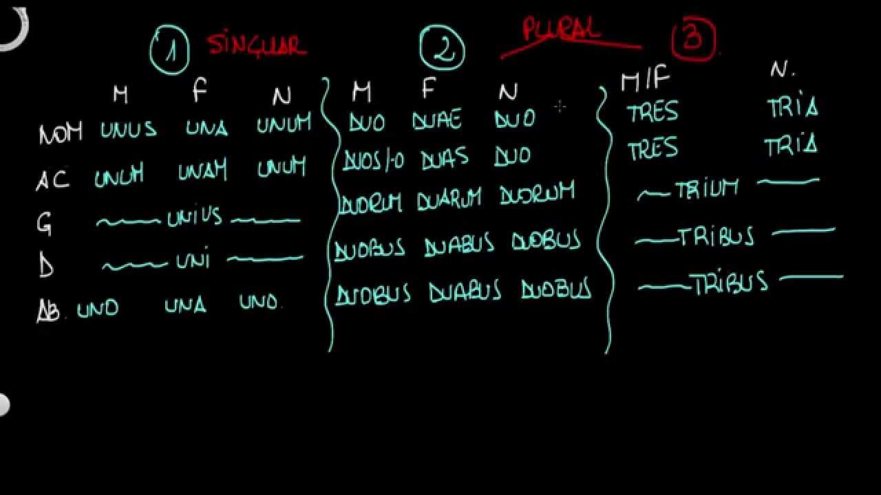 Los numerales: cardinales, ordinales, distributivos y adverbios (1ª parte)