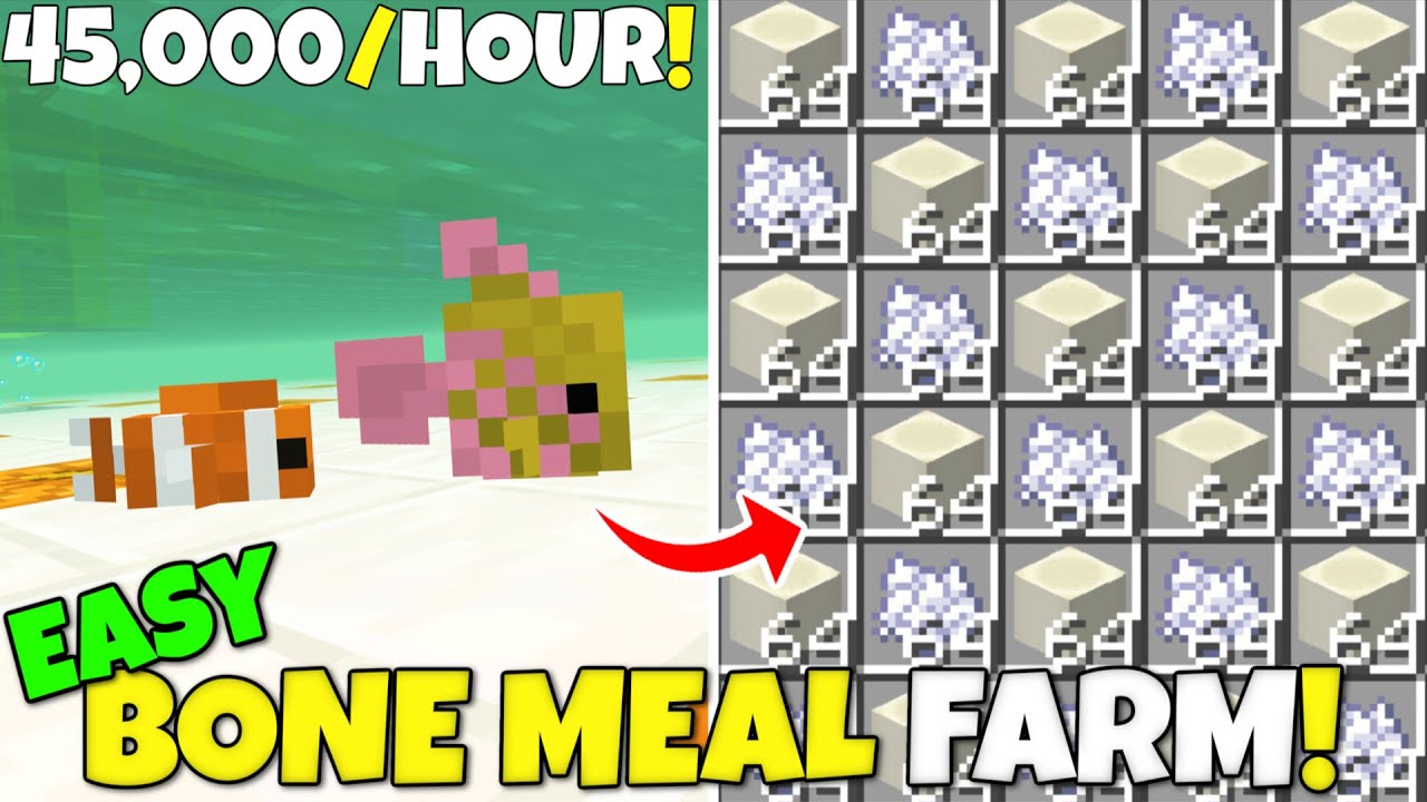 NEW BEST Bone Meal Fish Farm Tutorial! 45k/Hour! Minecraft Bedrock Edition Tutorial