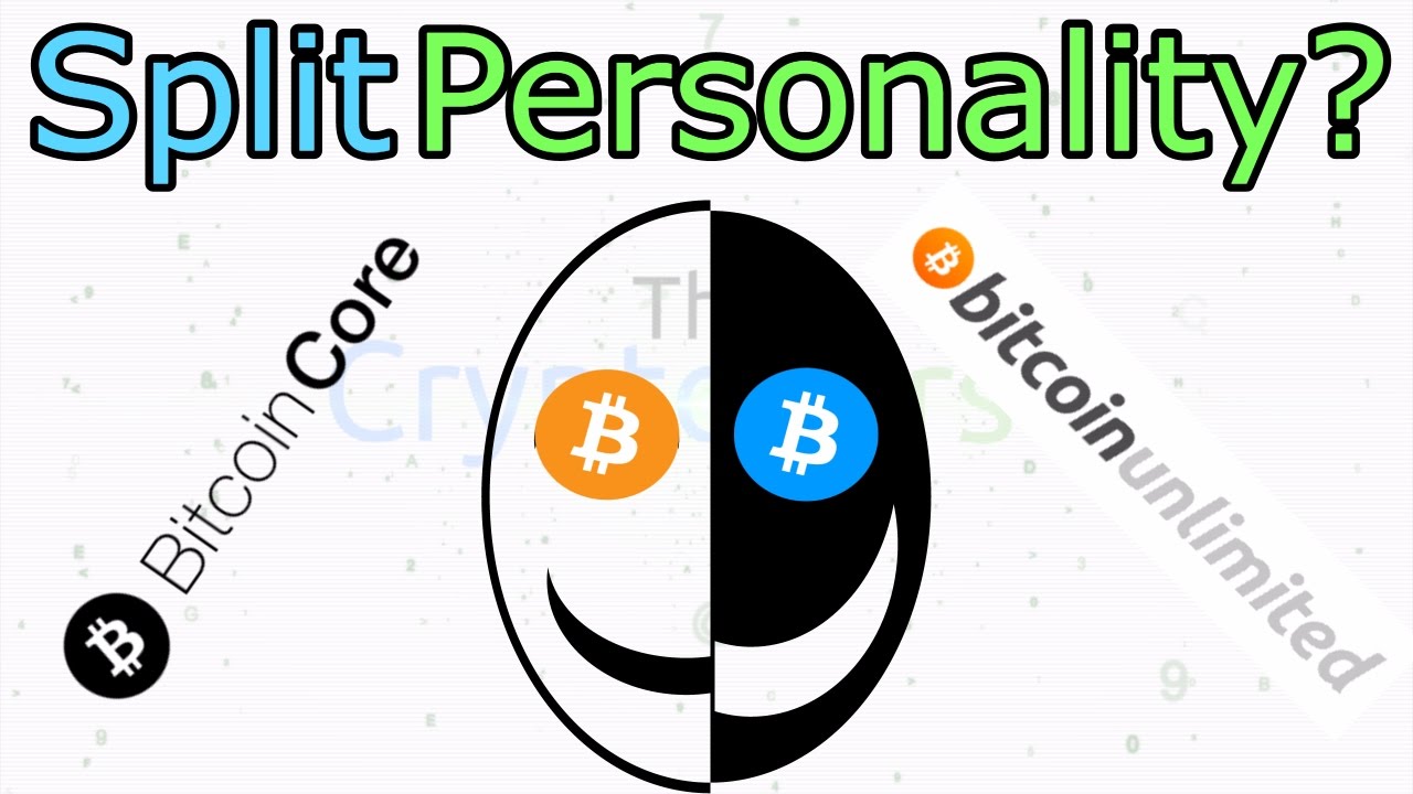 How To Prepare For A Bitcoin Hardfork (The Cryptoverse #229)
