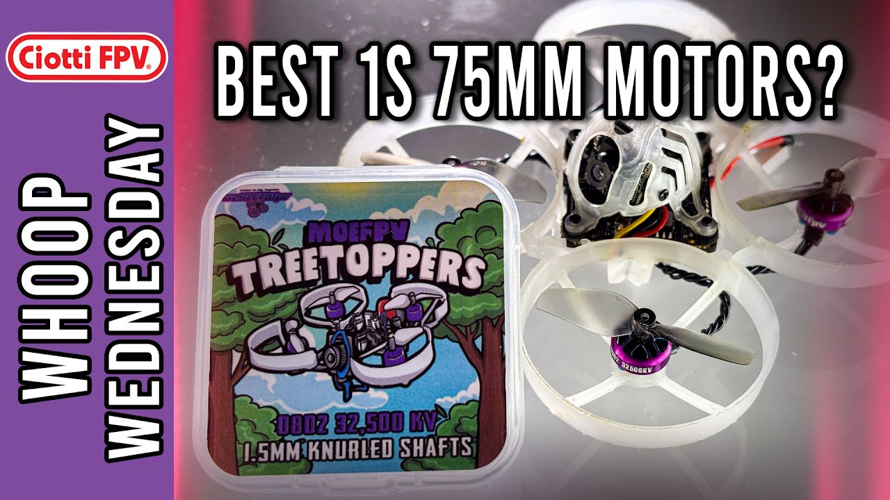 MoeFPV Tree Toppers Revive 1s 75mm Builds - #6Batteries - Q&A