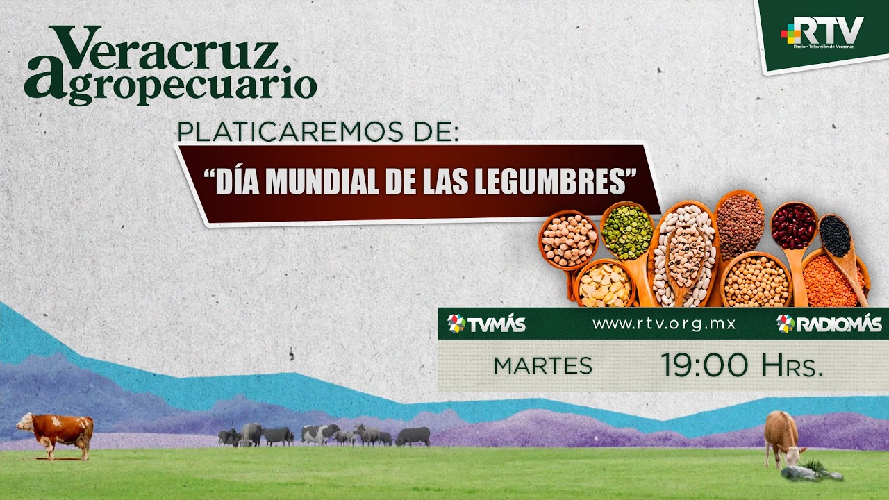 Veracruz Agropecuario - Día Mundial de las Legumbres
