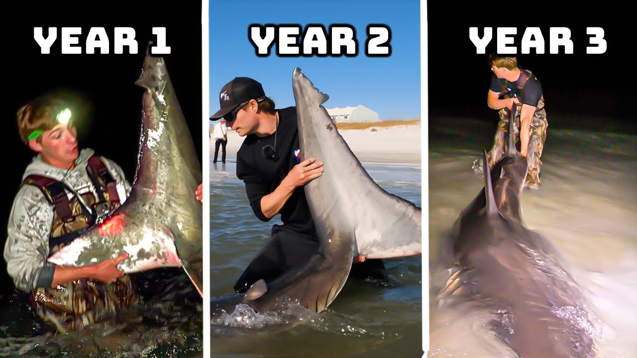 3 Great Whites Sharks in 3 Years in FLORIDA -(Great White Shark Documentary)