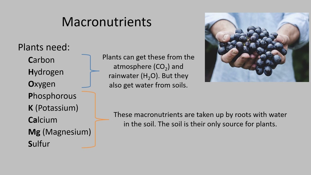 Soil & Plant Nutrients