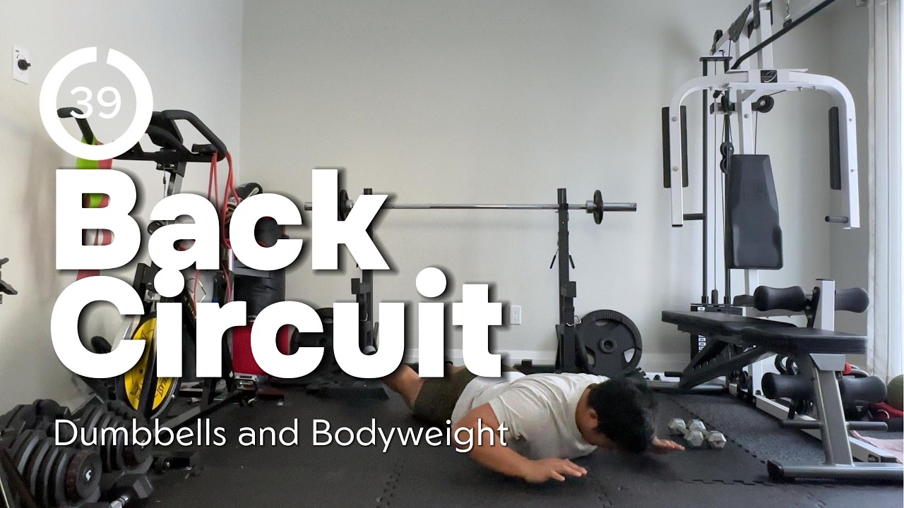 BACK ONLY CIRCUIT