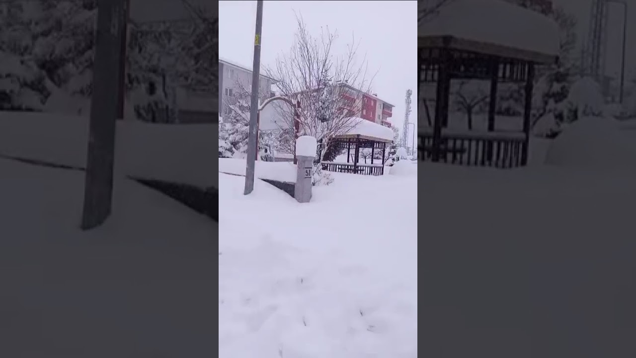 Beyaz elmasın hakim olduğu şehir Erzurum 