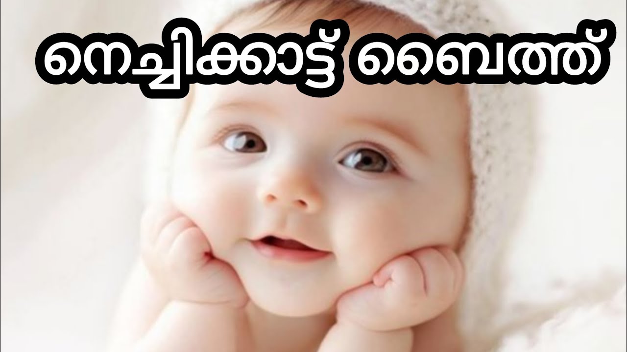 നെച്ചിക്കാട്ട് ബൈത്ത്... 👍👍💖💖