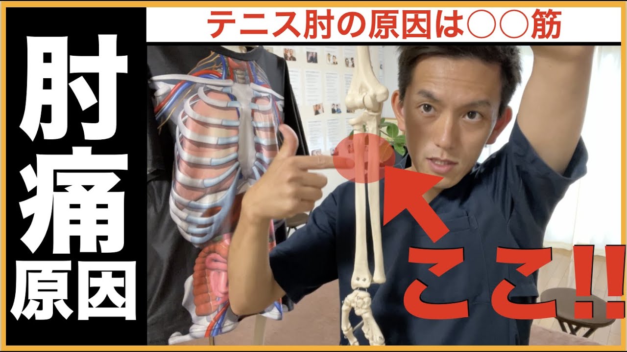 【世界一解剖学】テニス肘撲滅解剖学