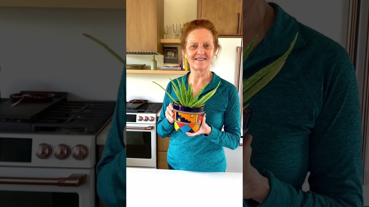 2 основных совета по уходу за алоэ вера #shorts #aloevera #plantaddict
