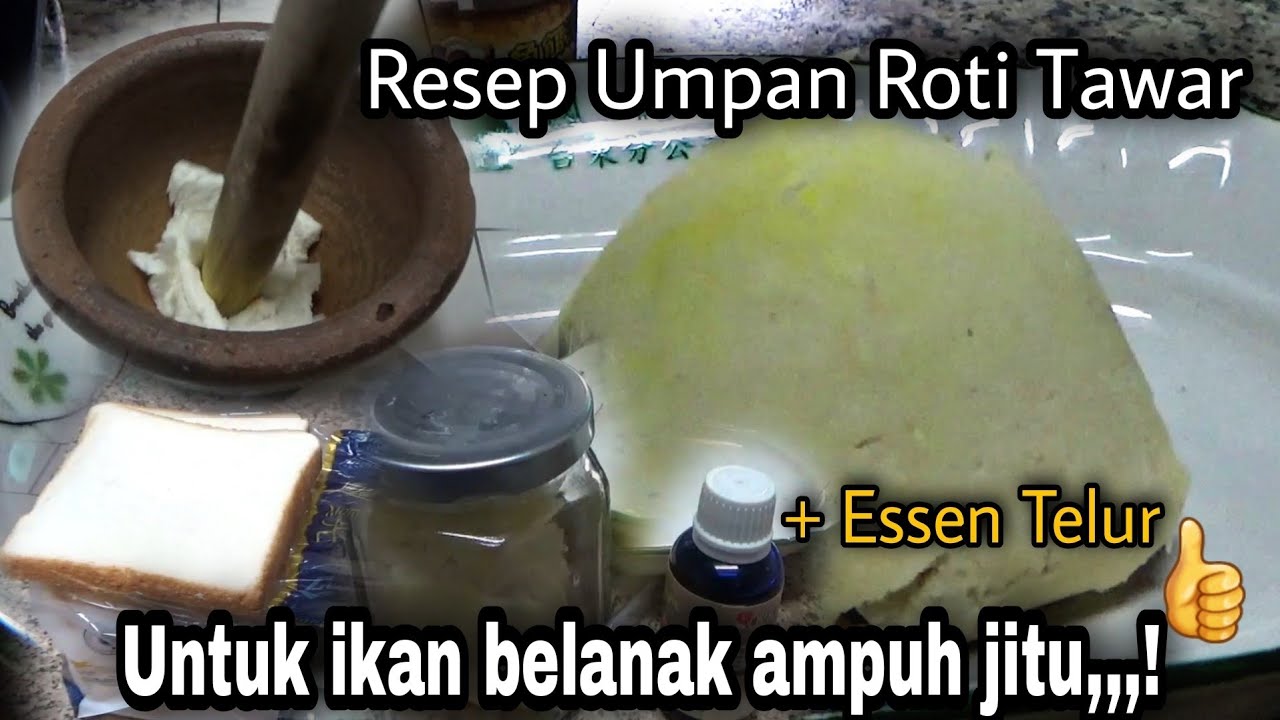 Cara Baru Meracik Umpan Roti Tawar + Essen Telur Untuk Ikan Belanak Yang Susah Makan