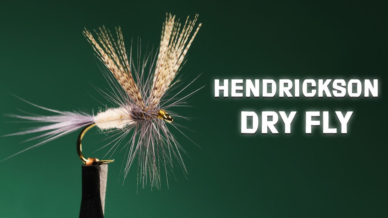 Hendrickson Dry Fly Pattern | Historic & Effective | Fly Tying Tutorial