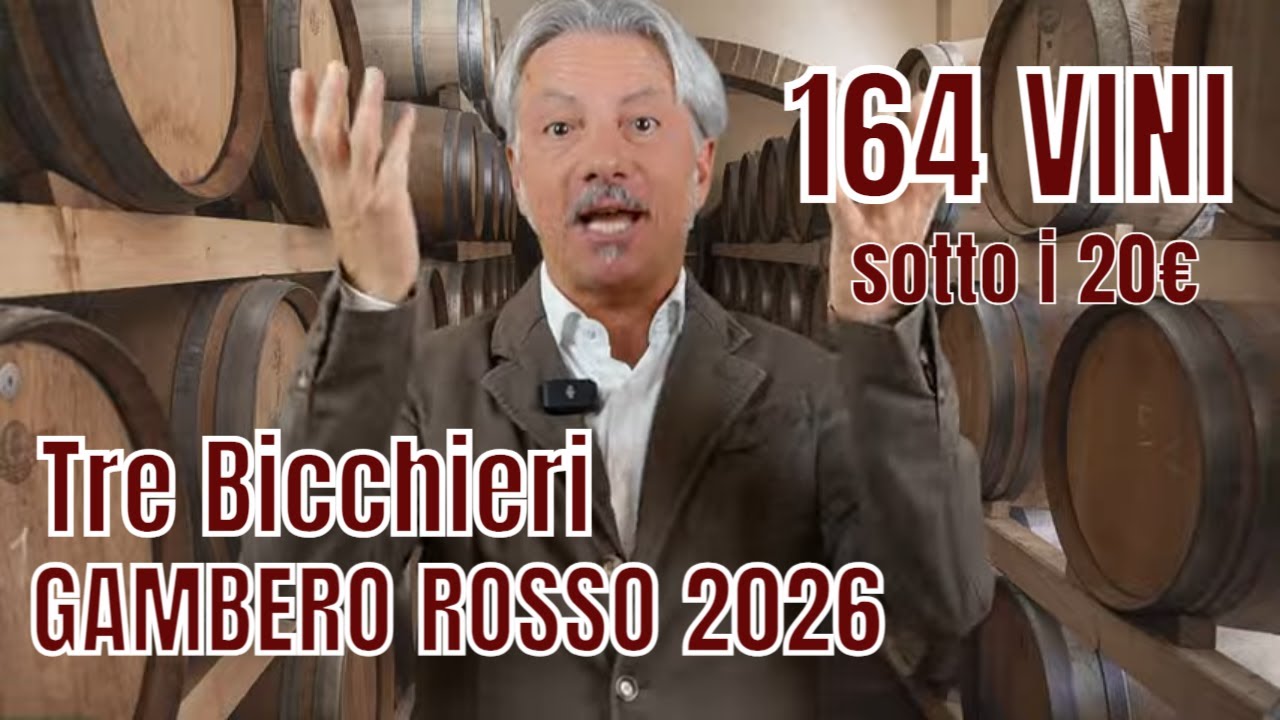 164 VINI Top 
