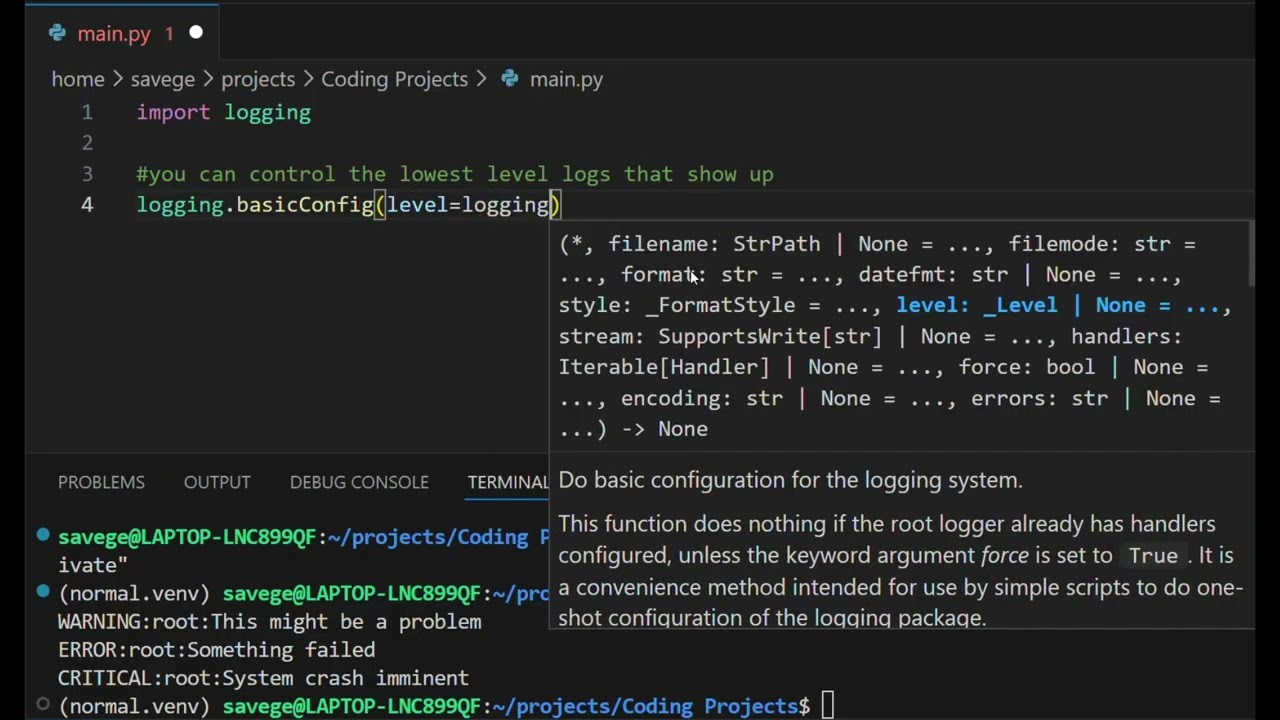 I'm Learning Python (Day 24: Logging Module Basics)