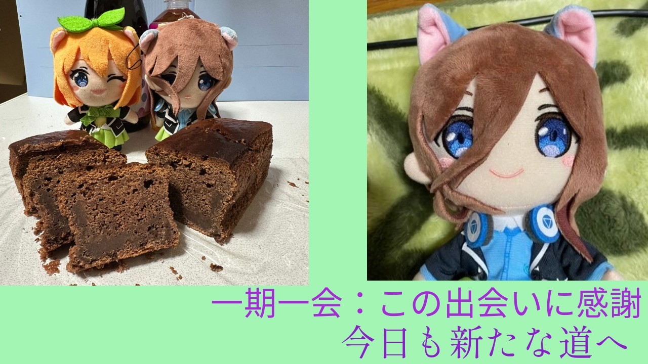 昼活します🍊(2時間くらい)