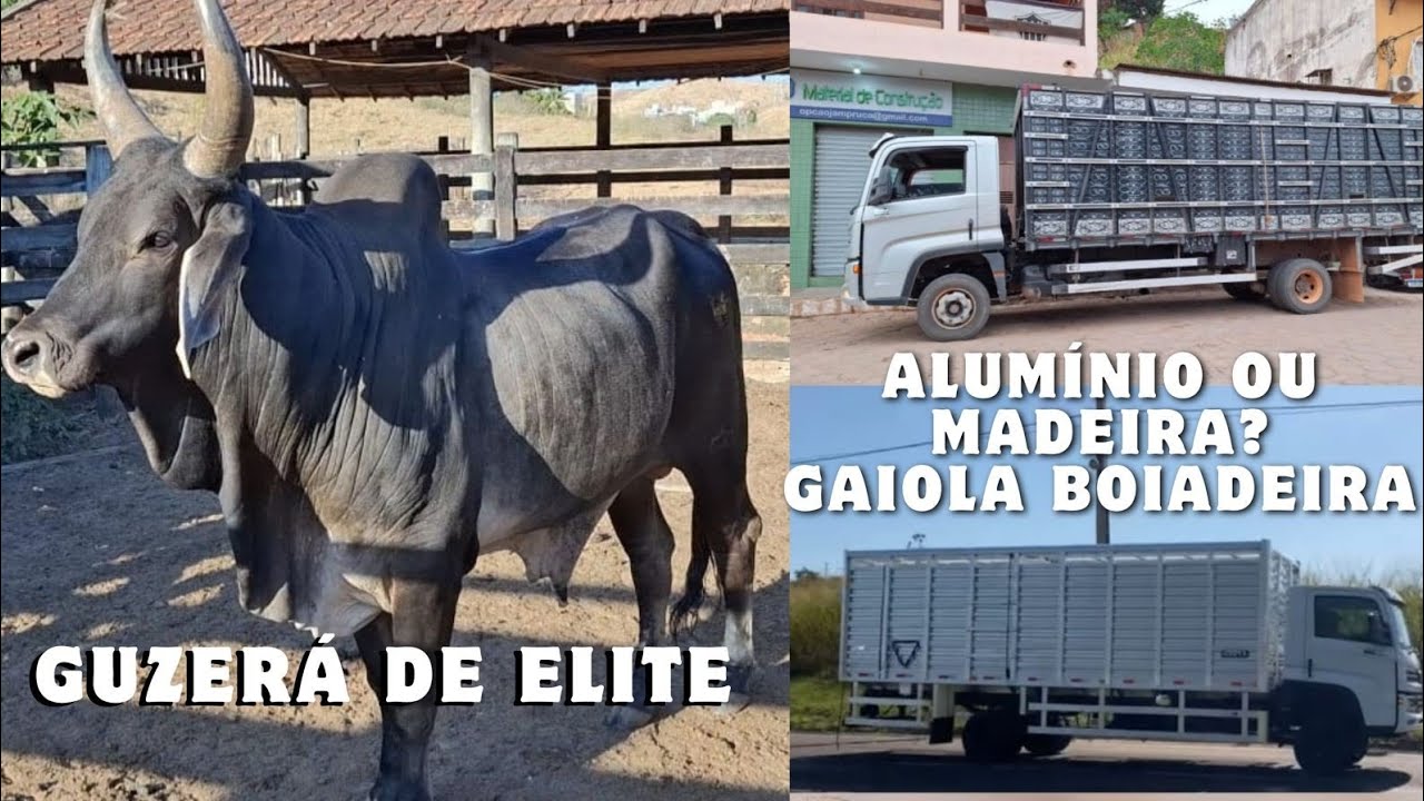 Gaiola boiadeira, alumínio ou madeira???🚚🚚🚚