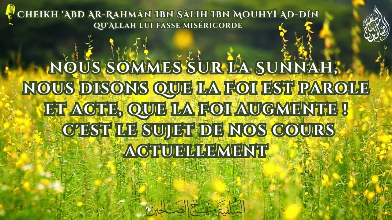 Cheikh Rabi' Al-Madkhali est-il le prédicateur des Murji'ah ? - Cheikh 'Abd Ar-Rahmân Mouhyî Ad-Dîn