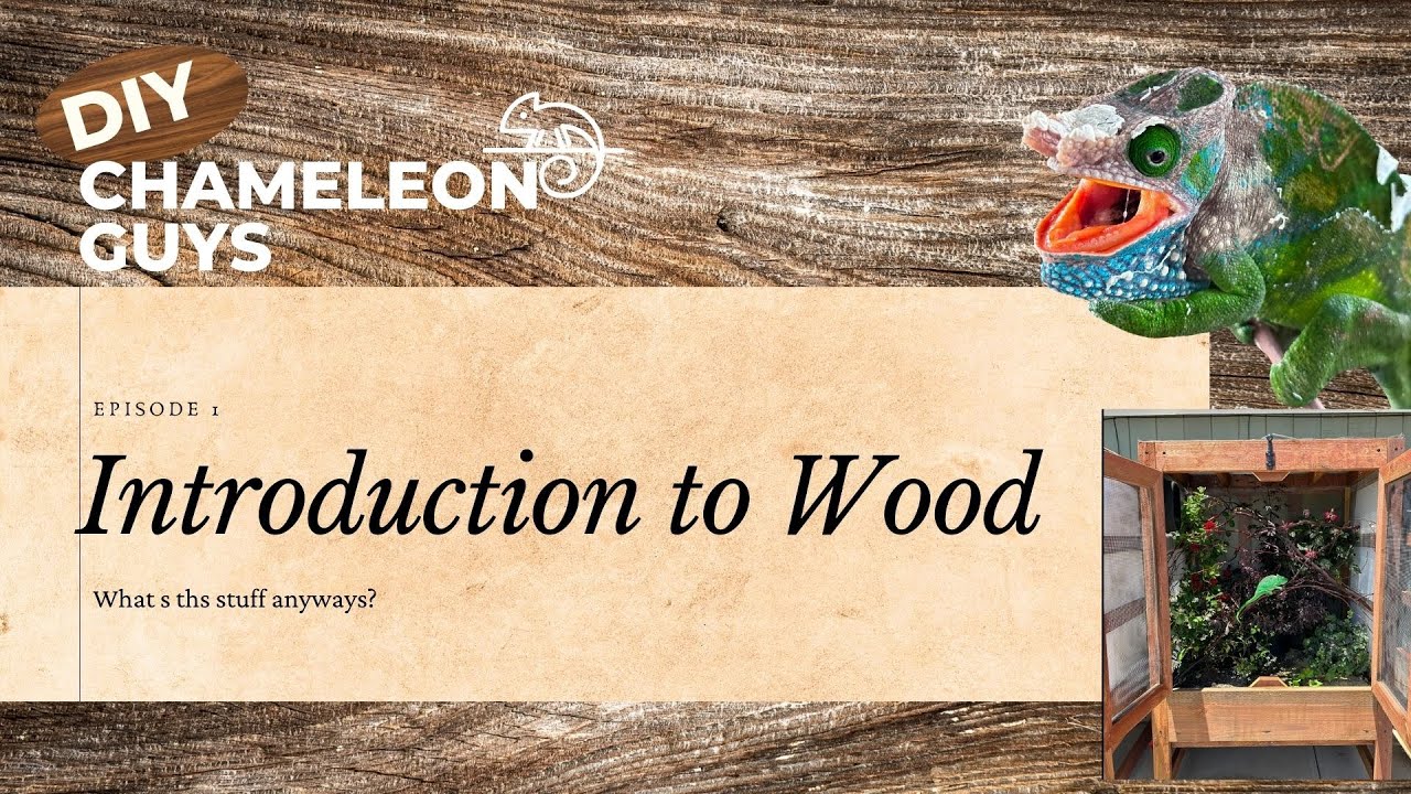Using Wood For Chameleon Cages