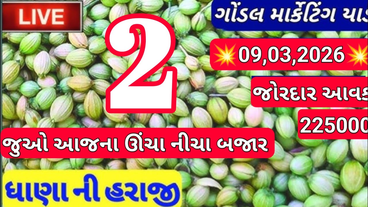 ગોંડલ ધાણાના બજાર ભાવ gondal dhana na bhav / dhana bharti ji bhajan / 09,03,2026