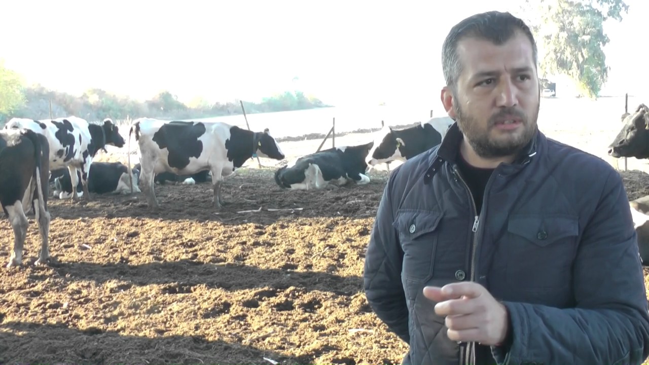 Aydın Efeler Kızgınlığı Nasıl Yakalıyor?