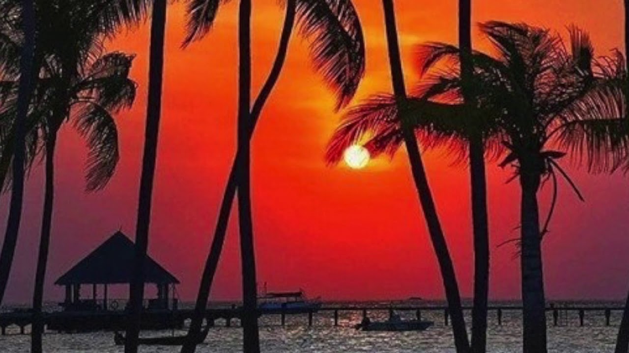 Caribbean Rhythms with BAP - Episode 11 - Political Mix 2