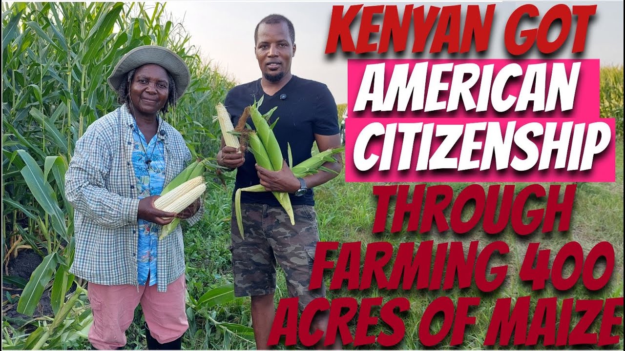 A Kenyan 🇰🇪 woman Farms 400 Acres of white Corn 🌽 in USA 🇺🇸