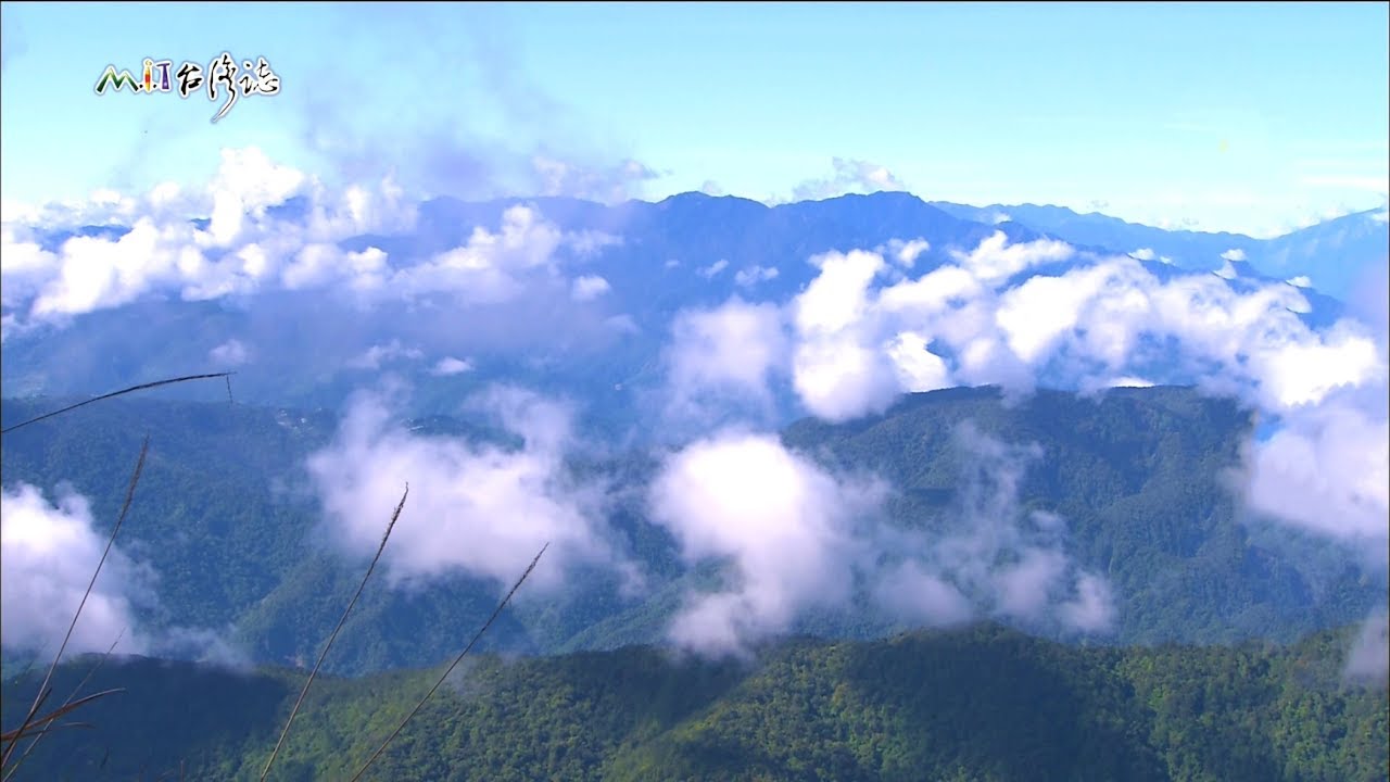 20170625【781】MIT台灣誌 黑熊隊長登白姑大山 麻辣白姑 好辣好辣