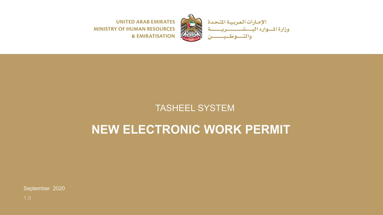 New Electronic Work Permit