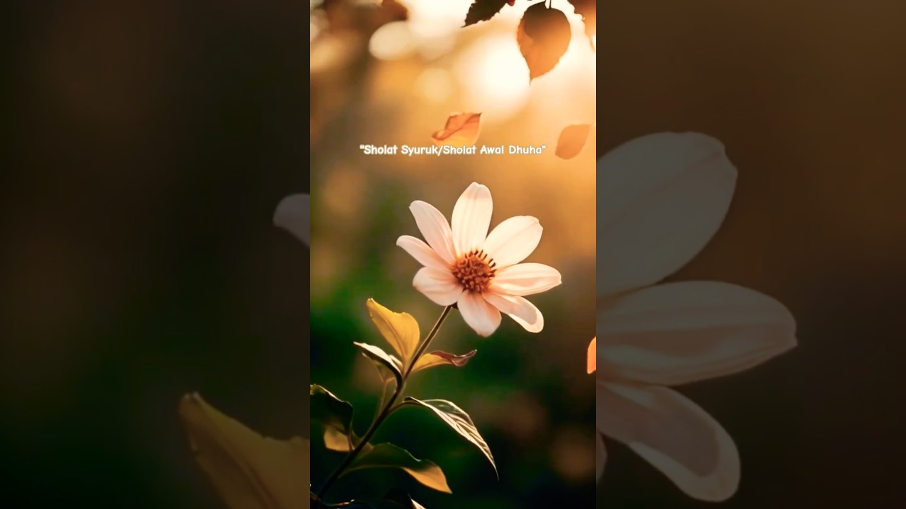 Sholat Syuruk #ustadzadihidayat #uah #shortsfeeds_ #sholatdhuha #ceramahsingkat #nasehatislami